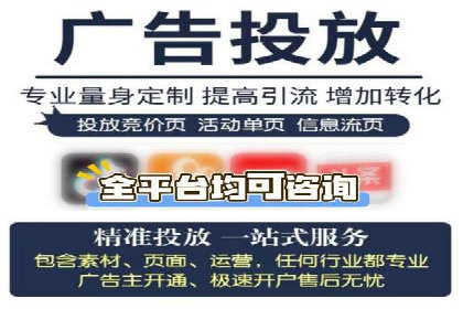 专业sem托管服务案例，揭秘广告投放优化策略